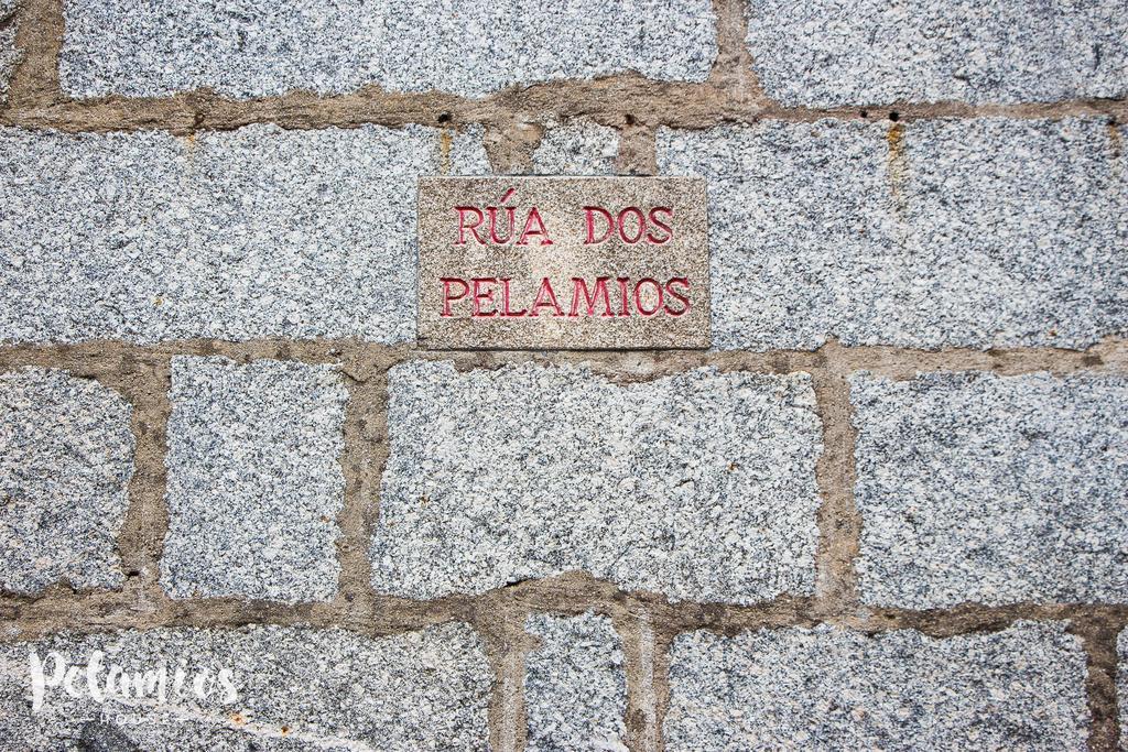 Apartament Pelamios House Santiago de Compostela Zewnętrze zdjęcie